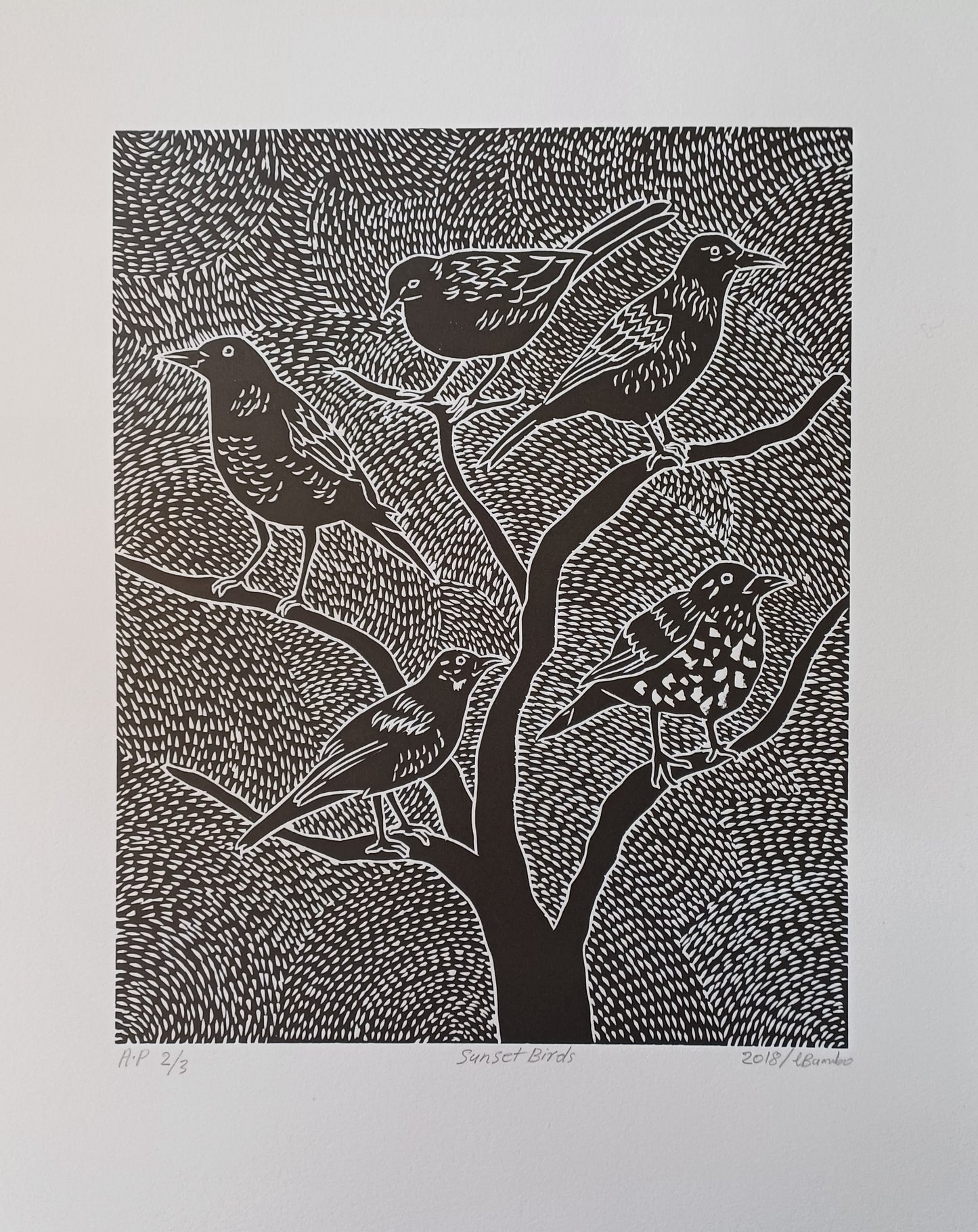 Lucas Bambo - Sunset Birds