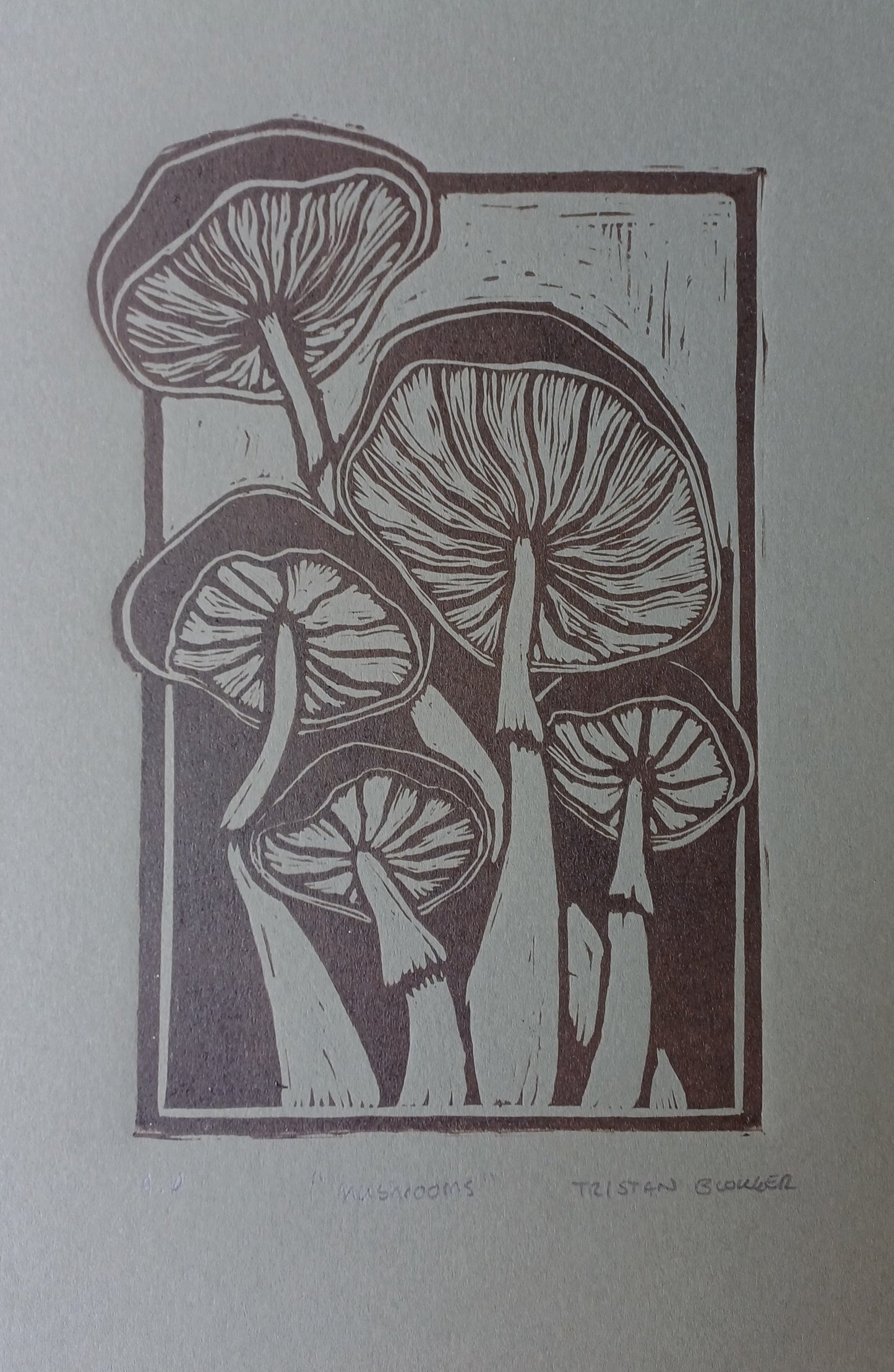 Tristan Blokker - Mushrooms