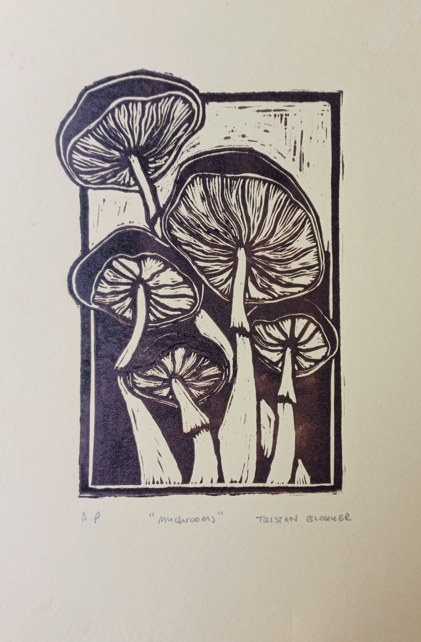 Tristan Blokker - Mushrooms