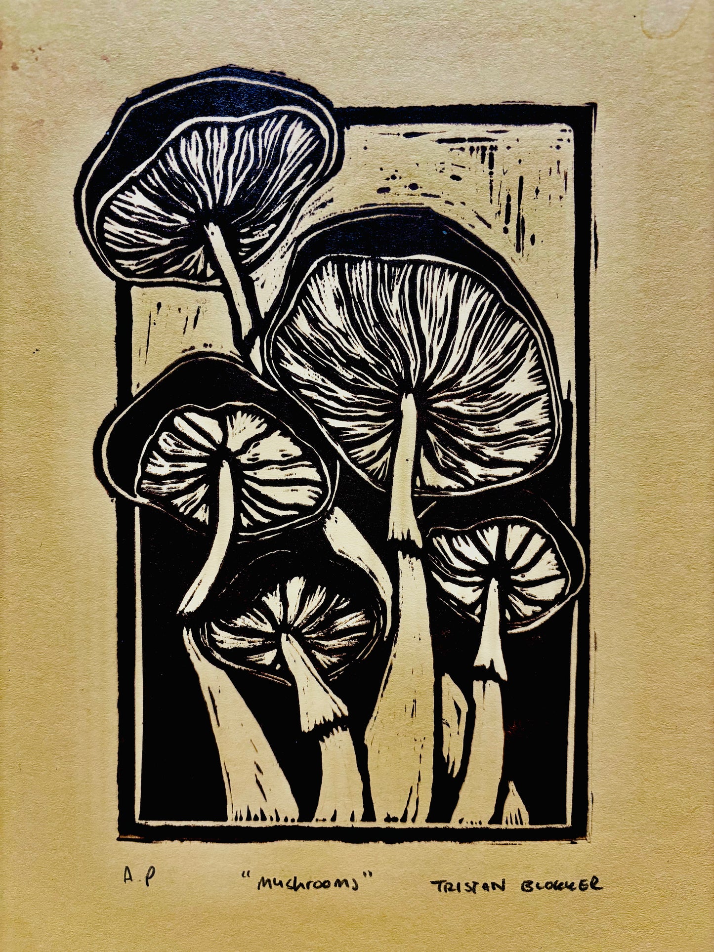 Tristan Blokker - Mushrooms yerllow