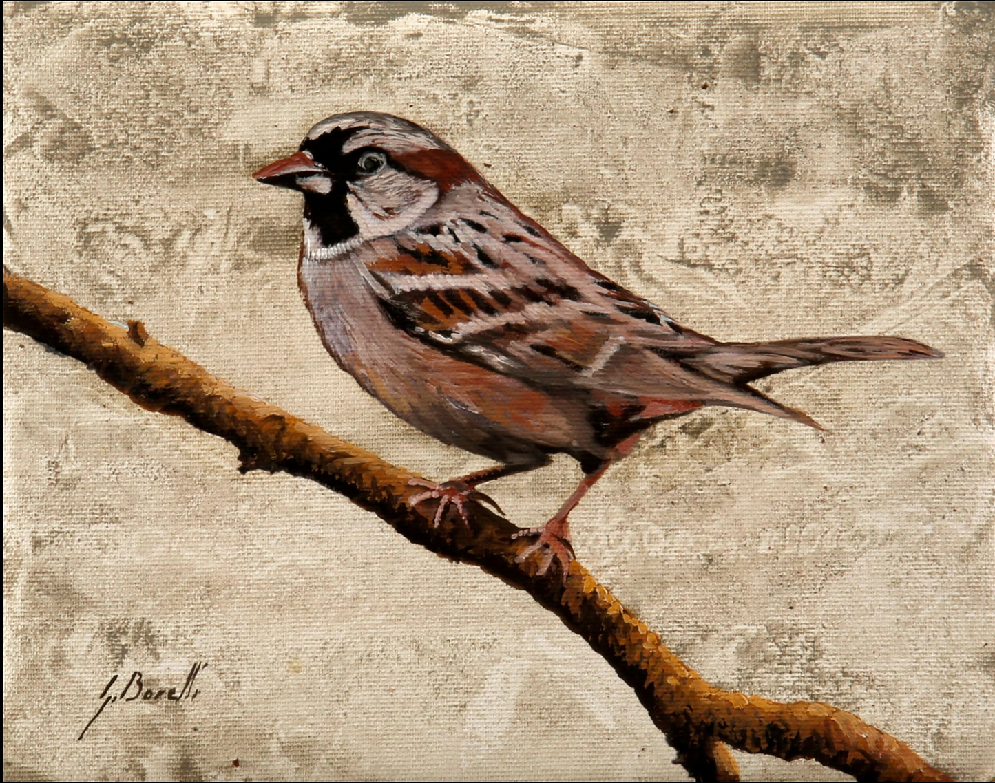 Guido Borelli - Del Piero