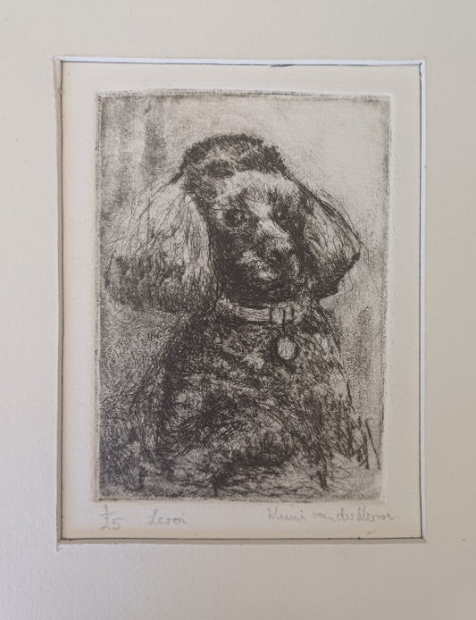 Mimi van der Merwe- Leroi