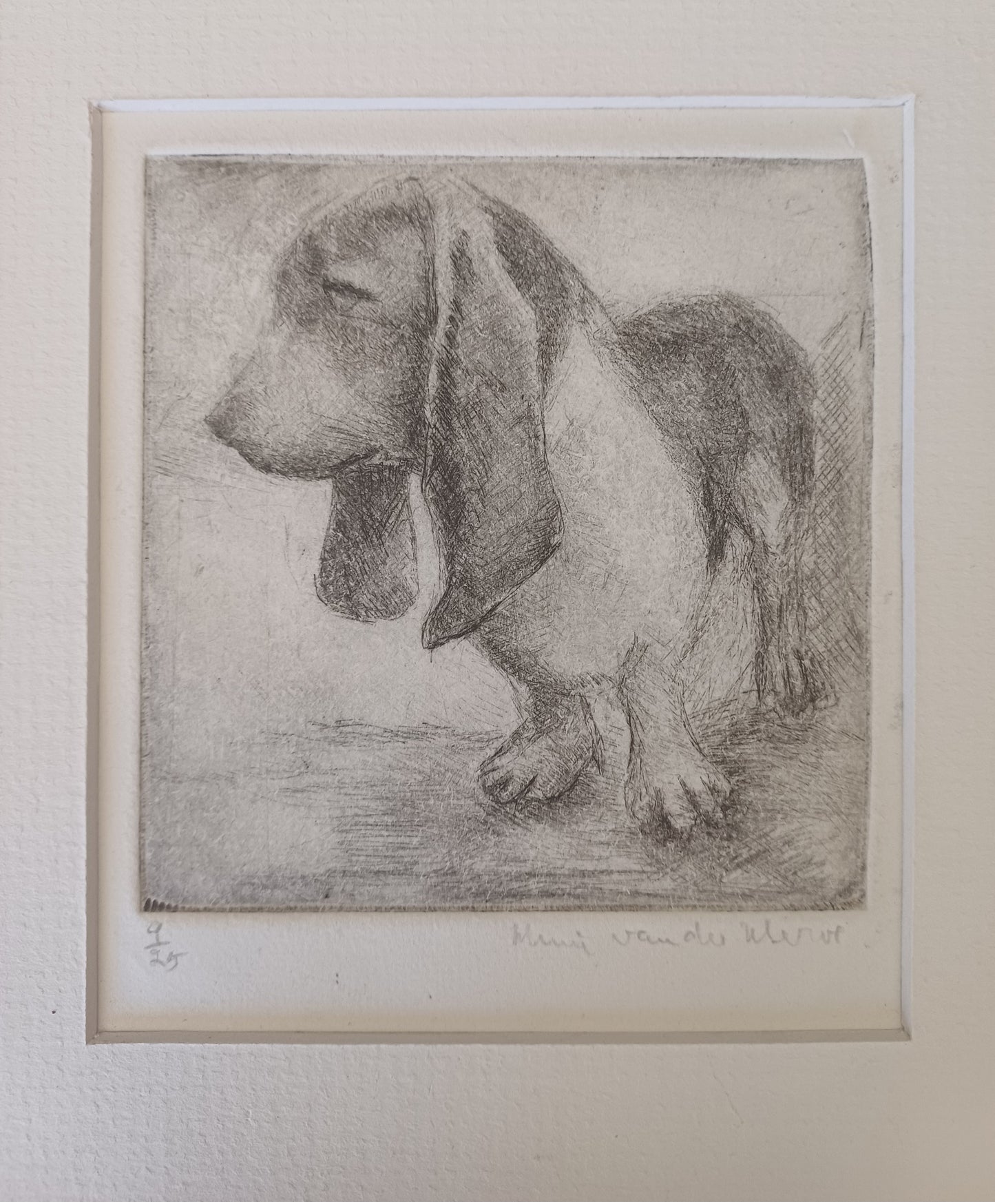 Mimi van der Merwe- Sally