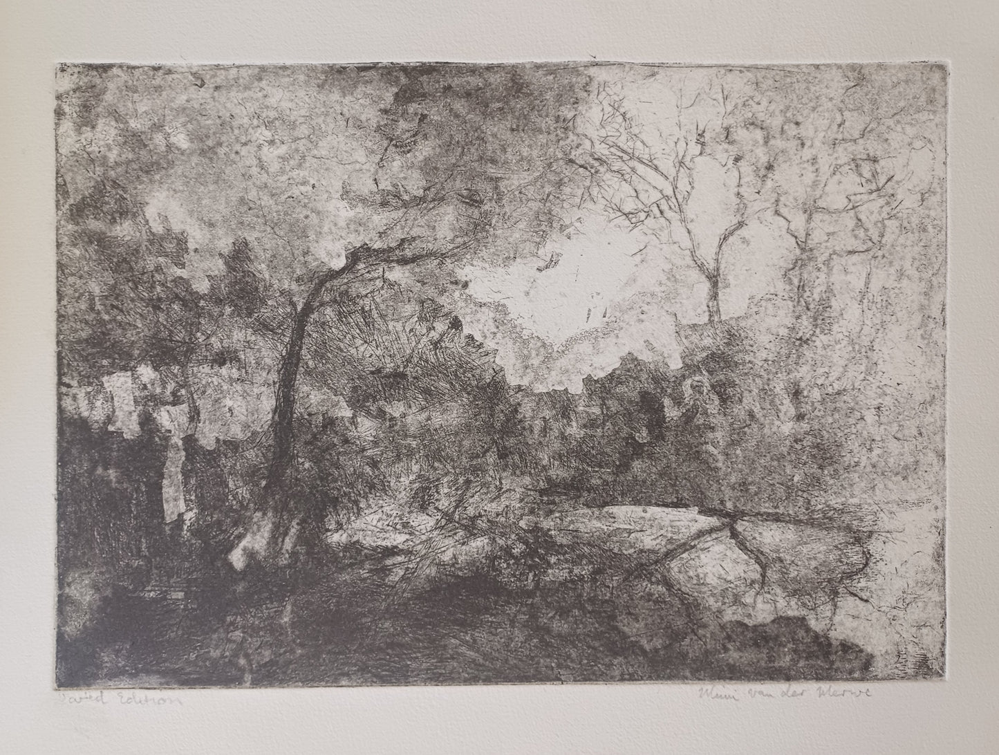 Mimi van der Merwe- Amos Street