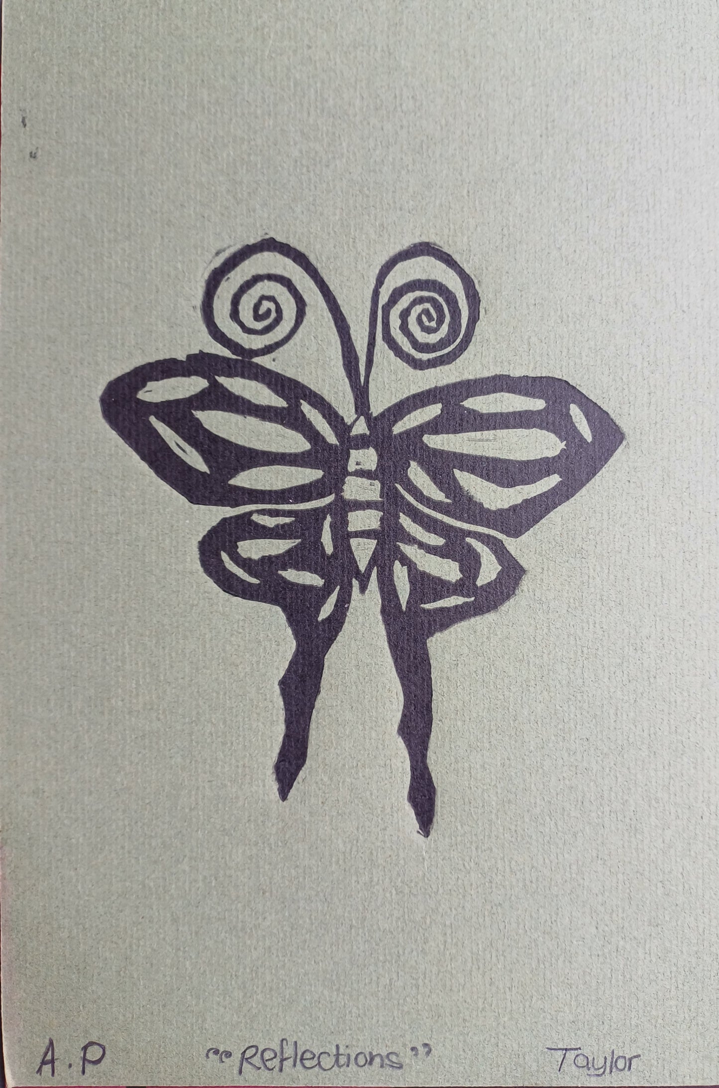 Taylor Janse v Rensburg - Reflections