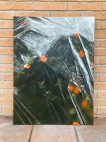 Martino Chiappa, Asfissia