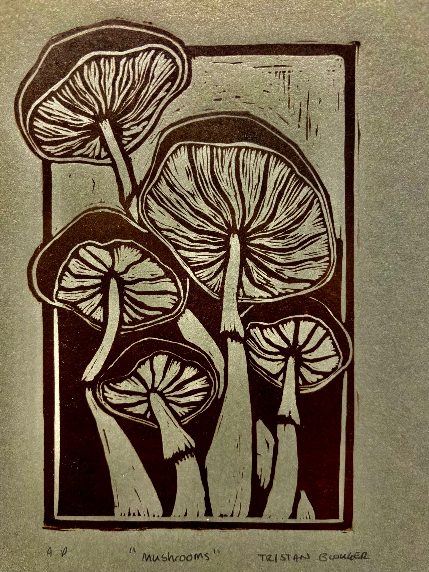 Tristan Blokker - Mushrooms green