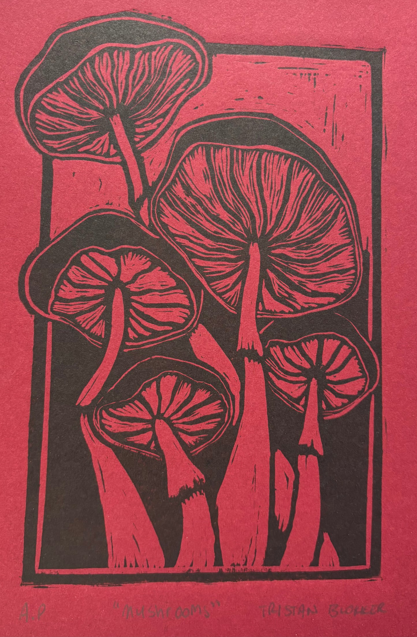 Tristan Blokker - Mushrooms red